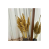 60 Cm. Yükeklik Natural Pampas Çiçeği | Kuru Çiçek