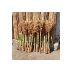 60 Cm. Yükeklik Natural Pampas Çiçeği | Kuru Çiçek