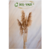 80 Cm. Yükeklik Natural Pampas Çiçeği | Kuru Çiçek