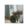 80 Cm. Yükeklik Natural Pampas Çiçeği | Kuru Çiçek
