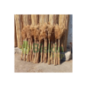 80 Cm. Yükeklik Natural Pampas Çiçeği | Kuru Çiçek