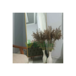 90 Cm. Yükeklik Natural Pampas Çiçeği | Kuru Çiçek