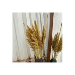 100 Cm. Yükeklik Natural Pampas Çiçeği | Kuru Çiçek