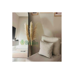 110 Cm. Yükeklik Natural Pampas Çiçeği | Kuru Çiçek