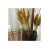 110 Cm. Yükeklik Natural Pampas Çiçeği | Kuru Çiçek
