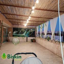 Doğal 180CM Yükseklik Bambu Kamış Hasır Çit Dekoratif Bahçe Balkon ve Duvar Çiti Reed Fence