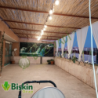 Doğal 180CM Yükseklik Bambu Kamış Hasır Çit Dekoratif Bahçe Balkon ve Duvar Çiti Reed Fence