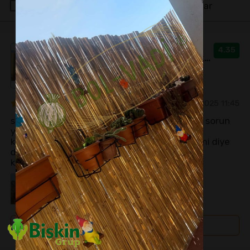 Doğal 225CM Yükseklik Bambu Kamış Hasır Çit Dekoratif Bahçe Balkon ve Duvar Çiti Reed Fence