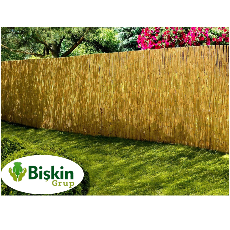 Doğal 230CM Yükseklik Bambu Kamış Hasır Çit Dekoratif Bahçe Balkon ve Duvar Çiti Reed Fence