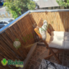Doğal 110CM Yükseklik Bambu Kamış Hasır Çit Dekoratif Bahçe Balkon ve Duvar Çiti Reed Fence