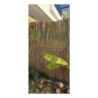 Doğal 185CM Yükseklik Bambu Kamış Hasır Çit Dekoratif Bahçe Balkon ve Duvar Çiti Reed Fence
