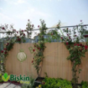 Doğal 215CM Yükseklik Bambu Kamış Hasır Çit Dekoratif Bahçe Balkon ve Duvar Çiti Reed Fence